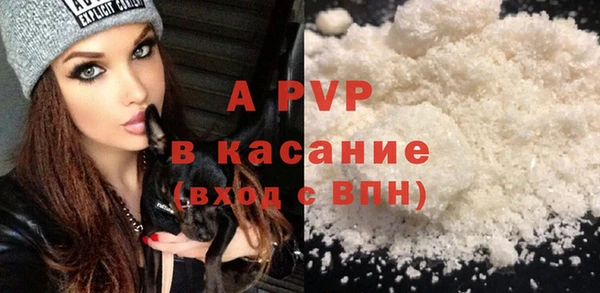 крисы Кулебаки