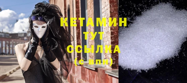крисы Кулебаки