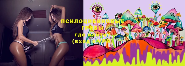 крисы Кулебаки