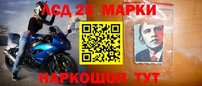 молекула духа Донецк