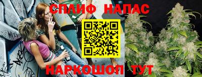 дживик Дубна