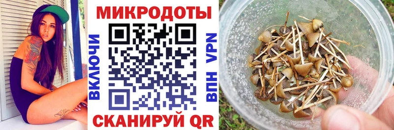 купить наркотики сайты  Ноябрьск  Псилоцибиновые грибы Psilocybe 
