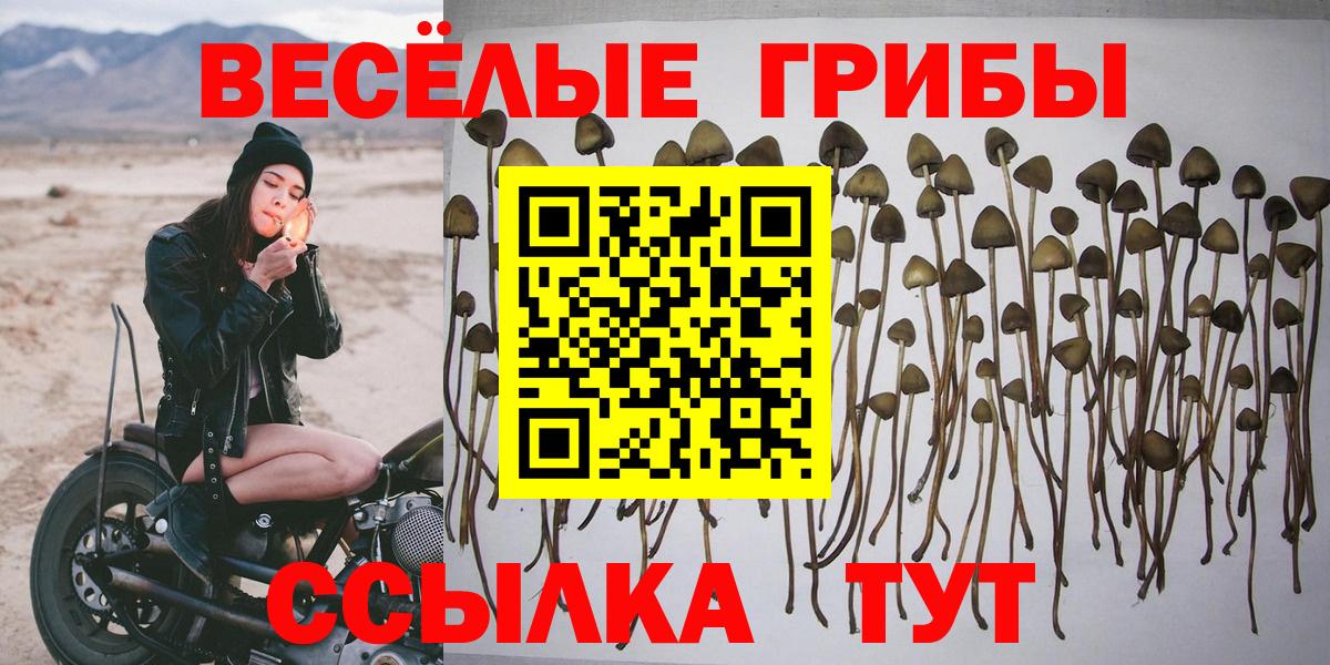Псилоцибиновые грибы прущие грибы Ноябрьск